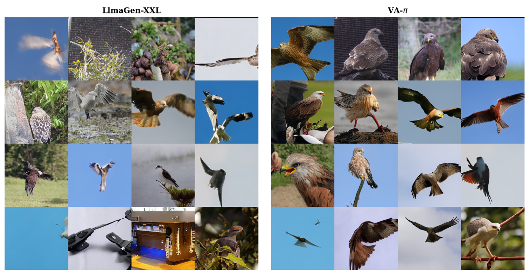 Qualitative comparison on the kite class