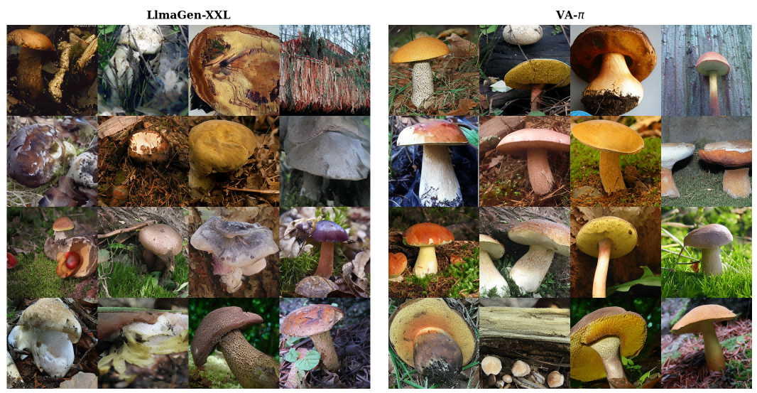 Qualitative comparison on the bolete class