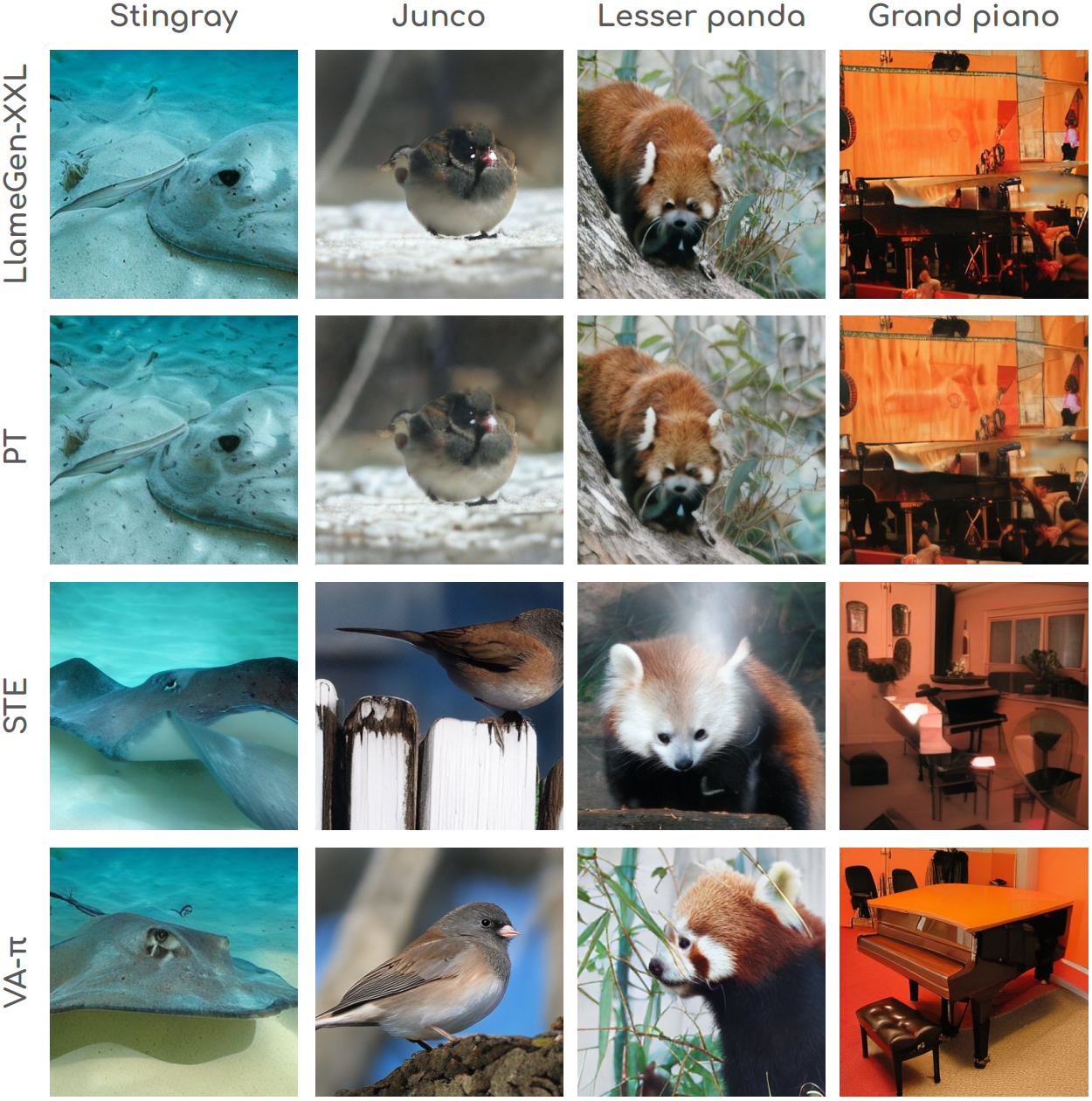 C2I qualitative comparison: LlamaGen-XXL vs PT vs STE vs VA-π